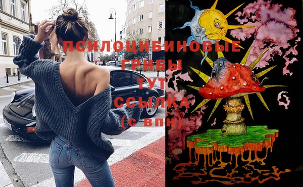 твердый Алексеевка