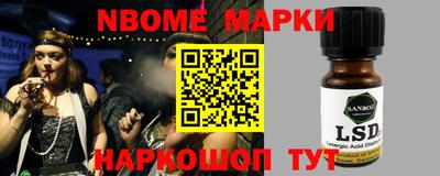 стафф Гатчина