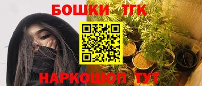 индика Гагарин