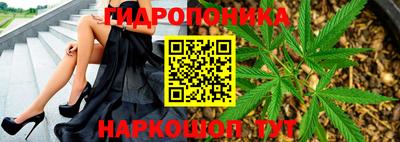 стафф Гатчина