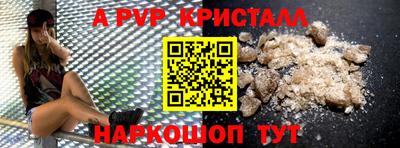 стафф Гатчина