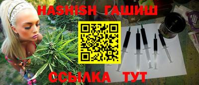 стафф Гатчина