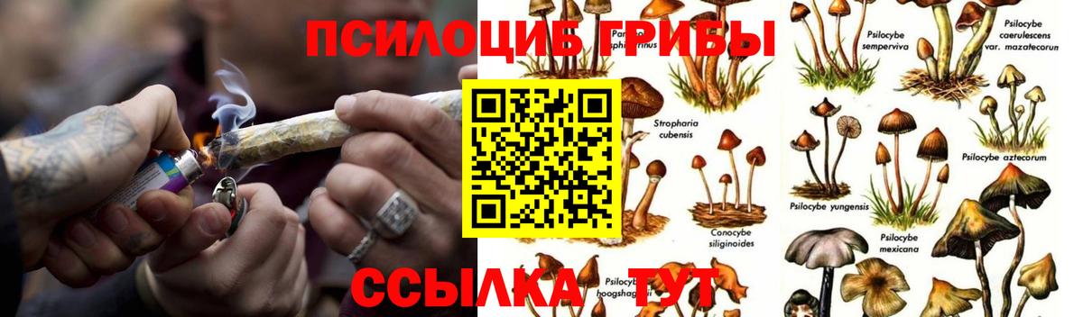 Гуково  Псилоцибиновые грибы прущие грибы  даркнет сайт  Вход с VPN 