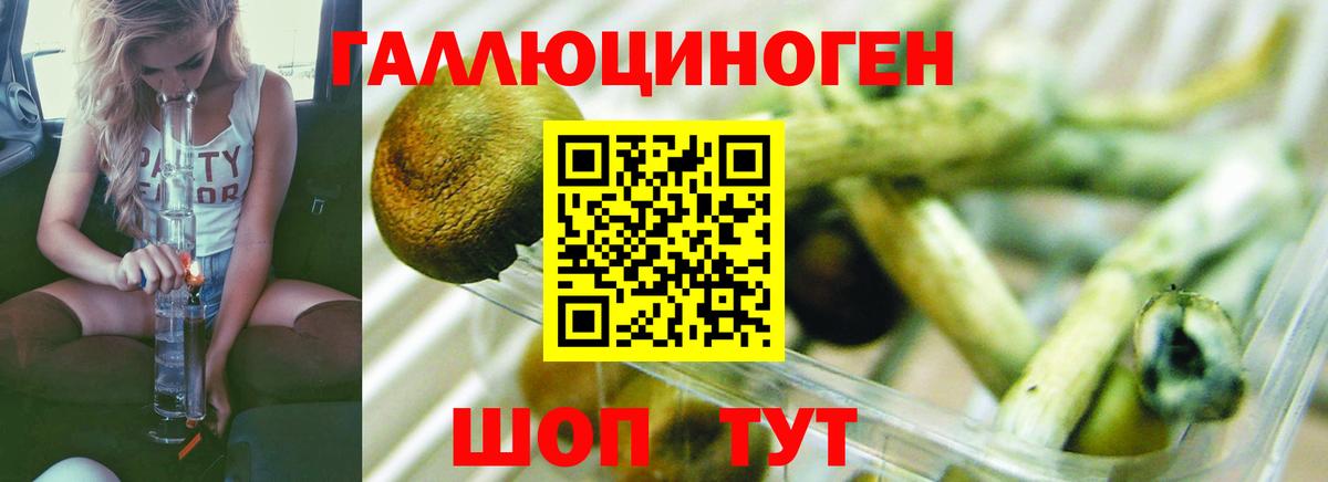 Галлюциногенные грибы ЛСД Гуково